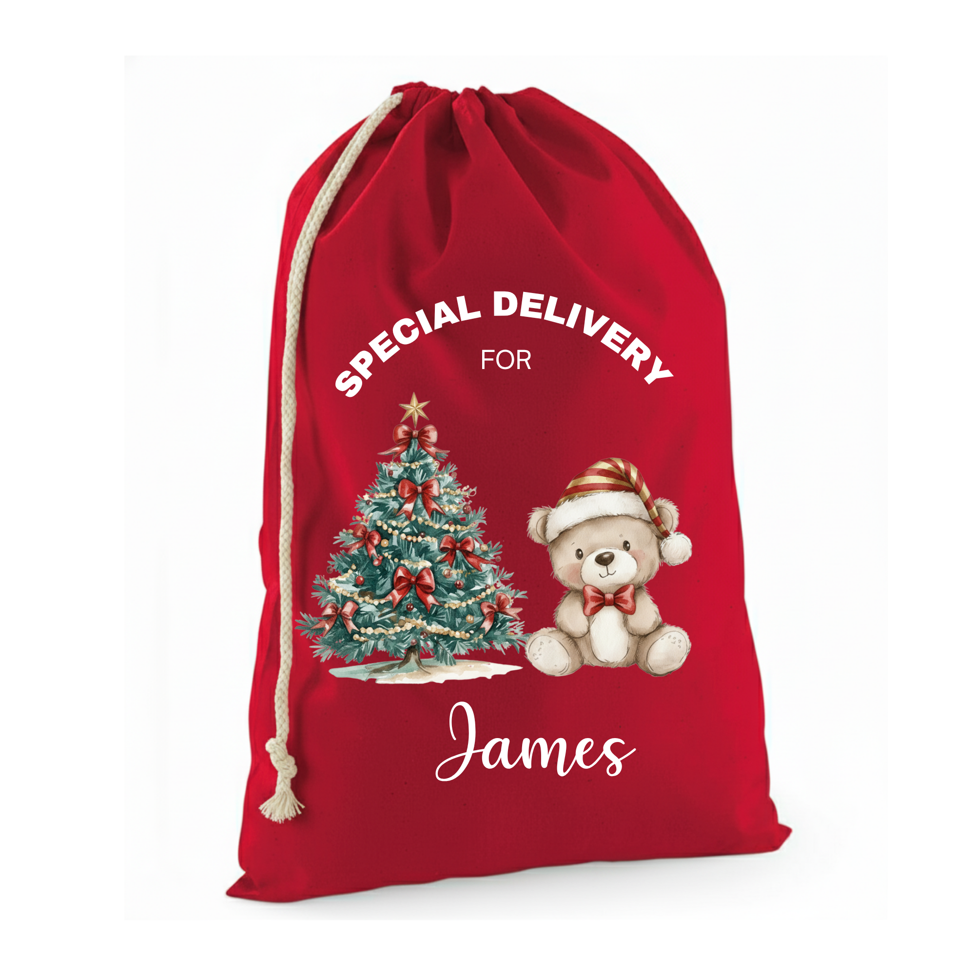 Personalised Teddy And Tree Christmas Sack